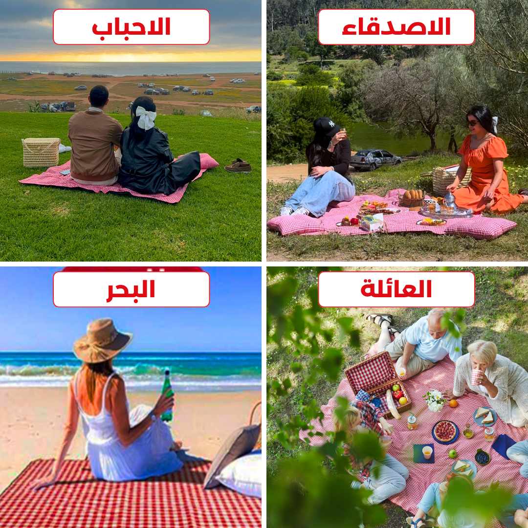 مجموعة النزهة العصرية : 4 وسادات + سلة تقليدية + بطانية